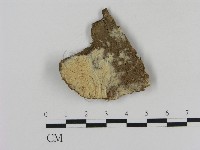 登錄號:F0012169藏品圖，第1張