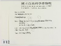 刺皮菌屬藏品圖，第2張
