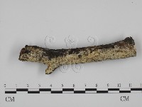 登錄號:F0012171藏品圖，第1張