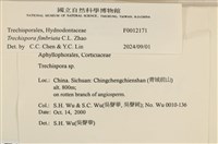 登錄號:F0012171藏品圖，第3張