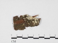 登錄號:F0012172藏品圖，第1張