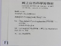 登錄號:F0012173藏品圖，第2張