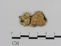 登錄號:F0012173藏品圖，第1張