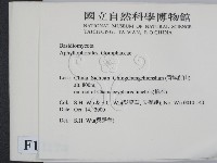登錄號:F0012174藏品圖，第2張