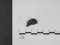 登錄號:F0012174藏品圖，第1張