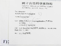登錄號:F0012176藏品圖，第2張