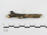 登錄號:F0012176藏品圖，第1張