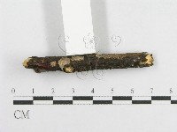 登錄號:F0012176藏品圖，第3張