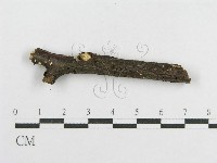 登錄號:F0012176藏品圖，第4張