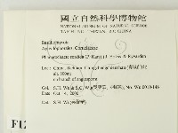 登錄號:F0012178藏品圖，第2張