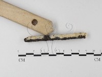 登錄號:F0012178藏品圖，第3張