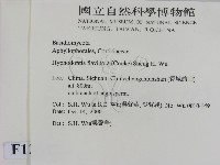 登錄號:F0012181藏品圖，第2張