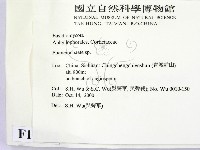 顯絲菌屬藏品圖，第2張