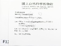 登錄號:F0012183藏品圖，第2張