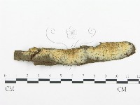 登錄號:F0012183藏品圖，第1張