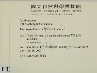 登錄號:F0012184藏品圖，第2張