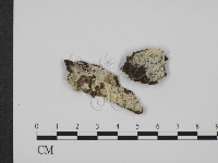 登錄號:F0012184藏品圖，第1張