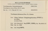 登錄號:F0012184藏品圖，第3張