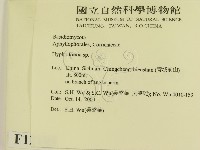 登錄號:F0012185藏品圖，第2張