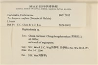 登錄號:F0012185藏品圖，第3張