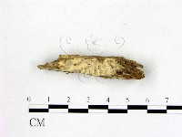 登錄號:F0012188藏品圖，第3張