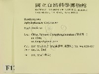 登錄號:F0012189藏品圖，第2張