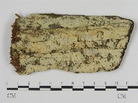 登錄號:F0012189藏品圖，第1張