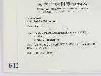 刺皮菌屬藏品圖，第2張