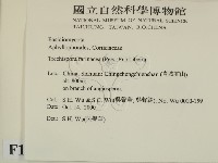登錄號:F0012191藏品圖，第2張