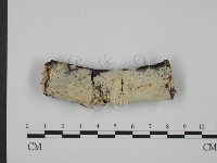 登錄號:F0012191藏品圖，第1張