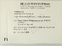 登錄號:F0012192藏品圖，第2張