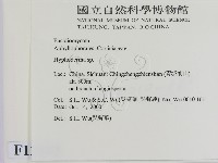 絲皮菌屬藏品圖，第2張