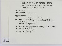 絲皮菌屬藏品圖，第2張