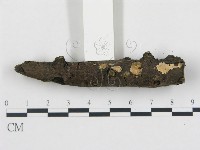 登錄號:F0012196藏品圖，第1張