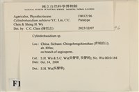 登錄號:F0012196藏品圖，第3張