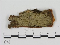 登錄號:F0012197藏品圖，第1張