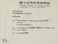 韌革菌屬藏品圖，第2張