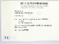 木耳屬藏品圖，第2張