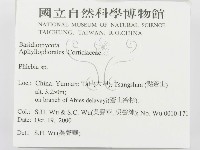 登錄號:F0012202藏品圖，第2張