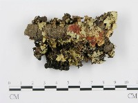 登錄號:F0012202藏品圖，第1張