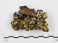 登錄號:F0012202藏品圖，第3張