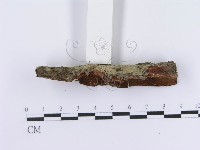 登錄號:F0012203藏品圖，第3張