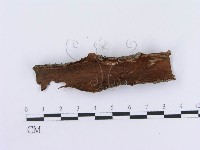 登錄號:F0012203藏品圖，第4張