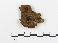 登錄號:F0012204藏品圖，第1張