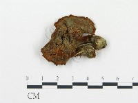 登錄號:F0012204藏品圖，第3張