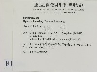 刺革菌屬藏品圖，第2張