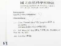 登錄號:F0012207藏品圖，第2張