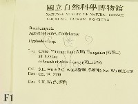 登錄號:F0012208藏品圖，第2張