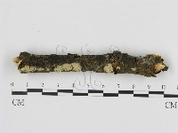 登錄號:F0012208藏品圖，第1張