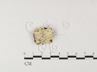 登錄號:F0012210藏品圖，第1張